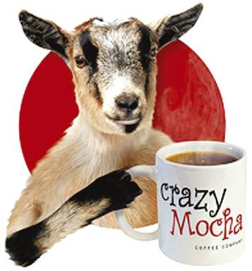 Crazy Mocha Coffee Company