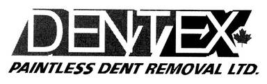Dentex Paintless Dent Removal