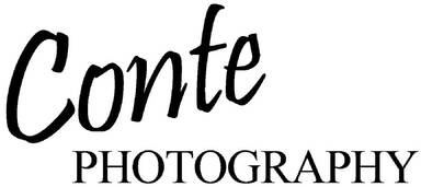 Conte Photography