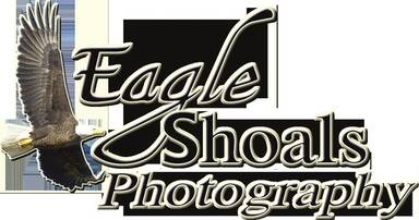 Eagle Shoals Photography