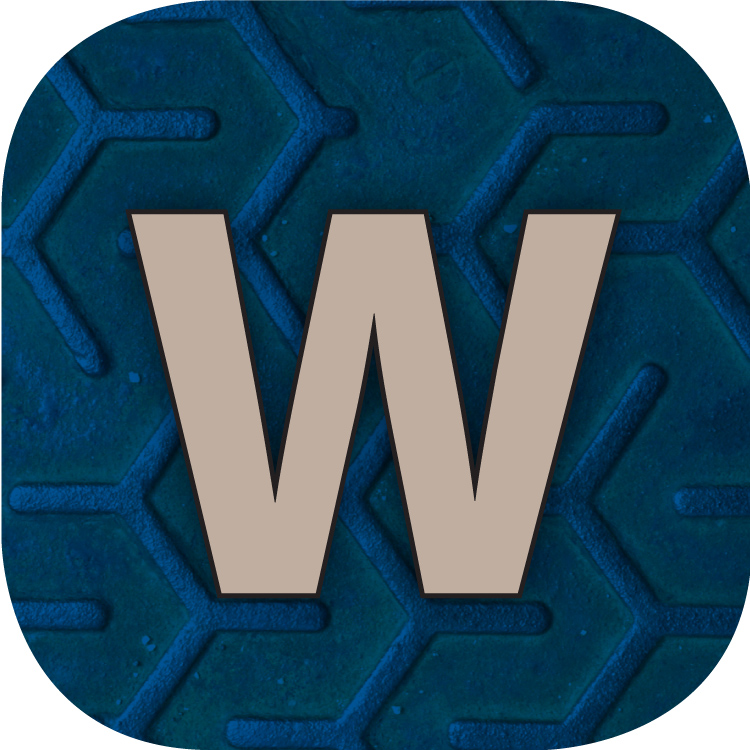Whiz Children Academy
