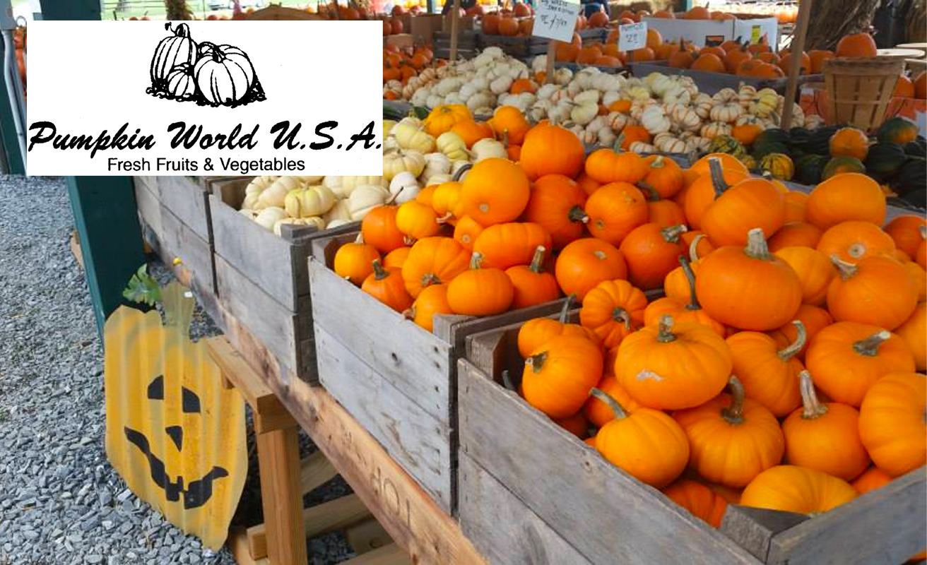 Pumpkin World USA